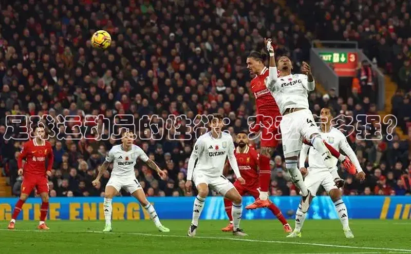 龙8-long8游戏赛富乐斯