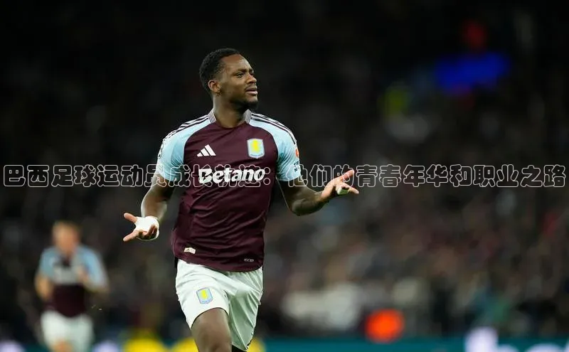 龙8登录入口极氪智能科技