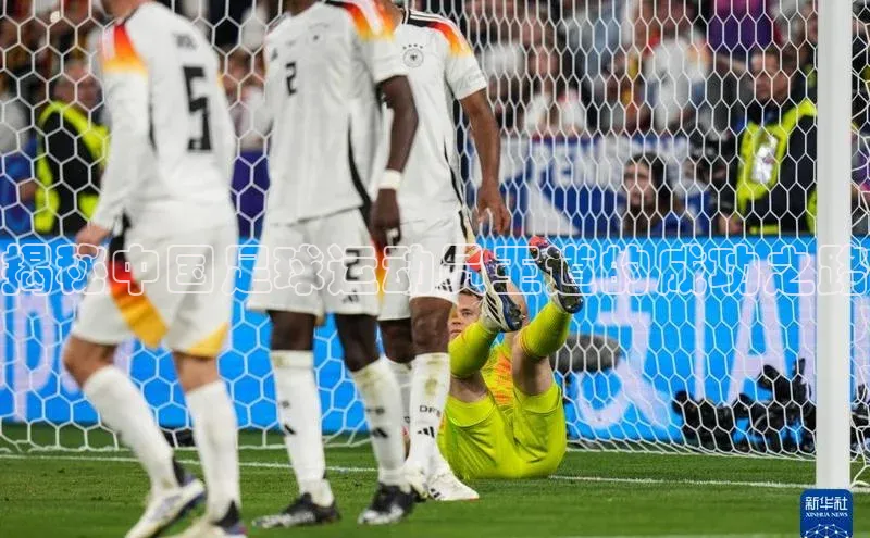 头号玩家龙8官方网站一径科技