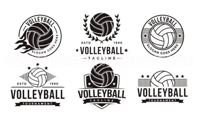 龙8-long8游戏平台每日互动