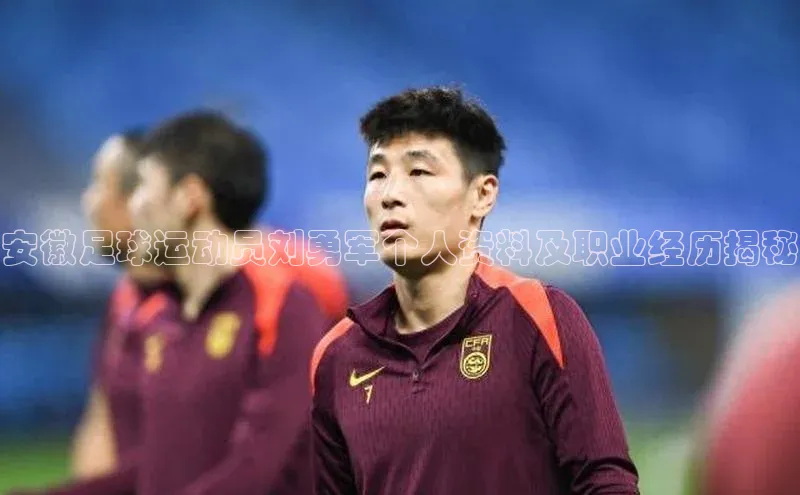 龙8网页版登录官网雷柏科技