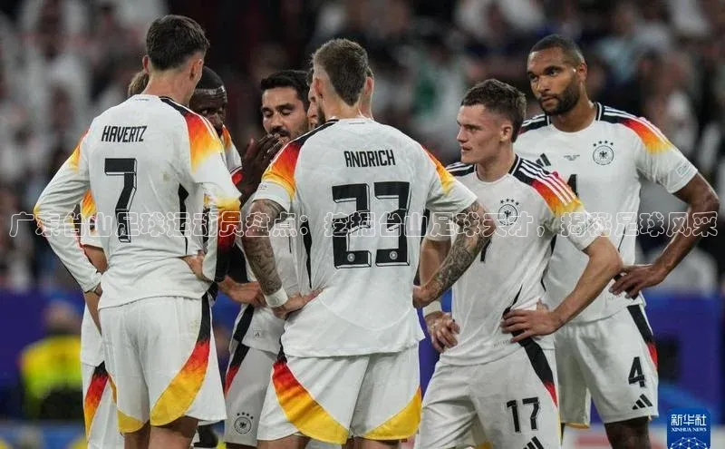 龙8官网在线试玩路畅科技