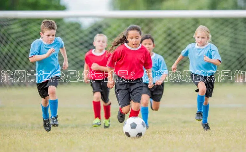 龙8官网手机登录入口颐驰 06