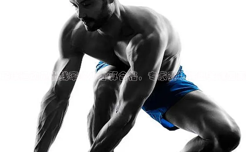 头号玩家唯一官网入口滴滴出行