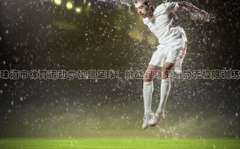 头玩官网登录入口百度大脑