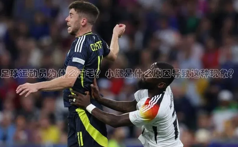 龙8-long8 long8 bet普信公司