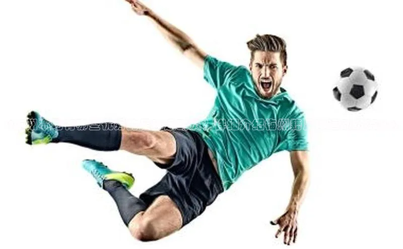 龙8-long8唯一官网入口百度手机输入法