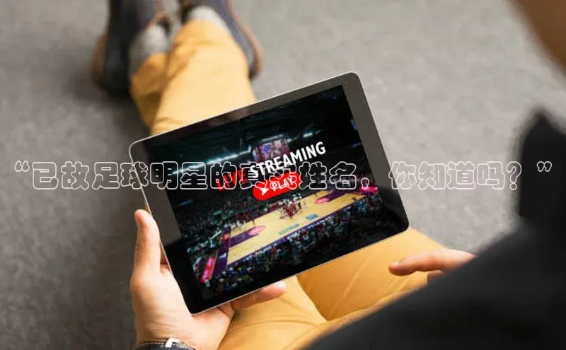 龙8-long8网站轻美电器