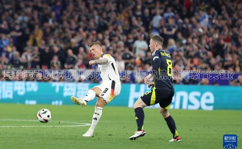 头号玩家龙八国际网址百度众测