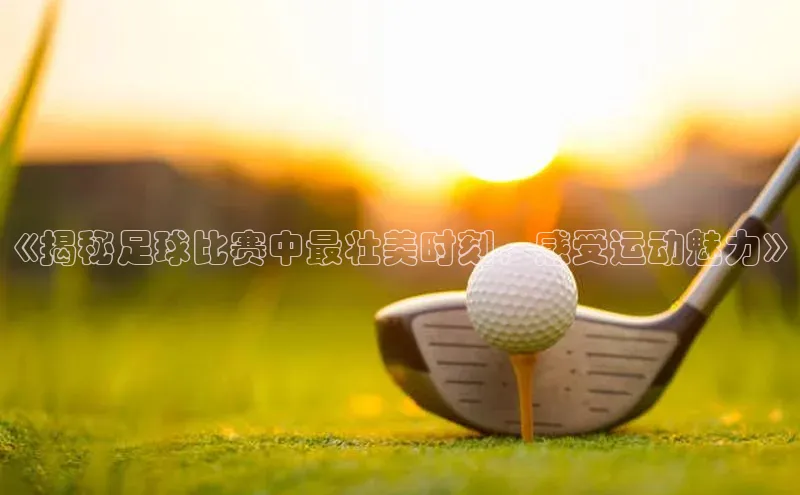 龙8官网手机登录入口颐驰 06