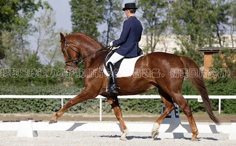 头号玩家平台官网百度营销中心