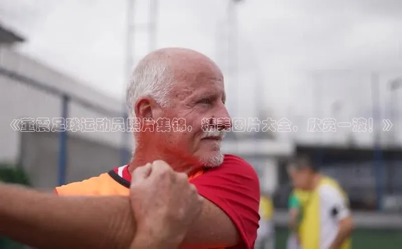 龙8官网地址百度安全社区