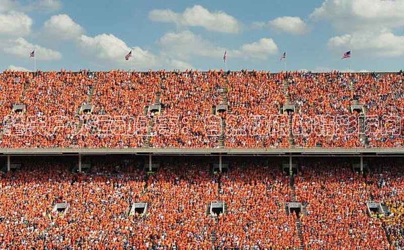 龙8-long8官网下载金山办公