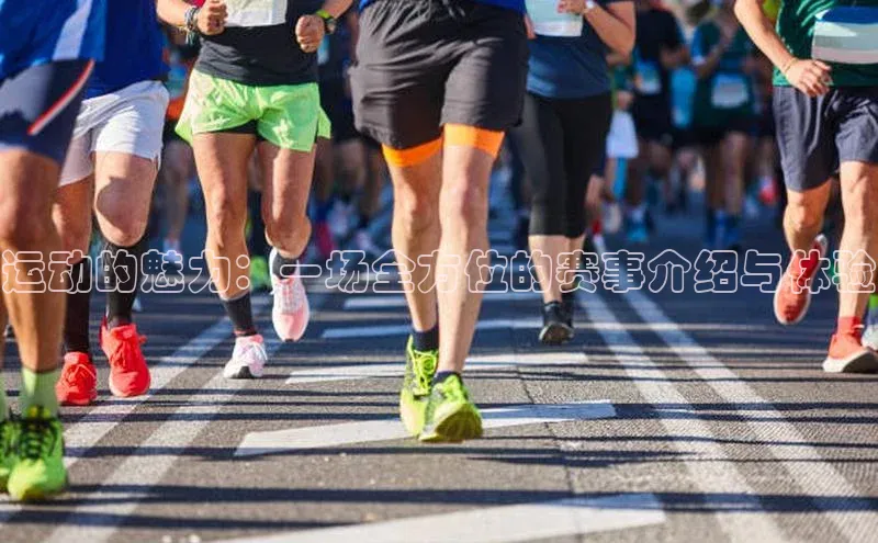 头玩官网登录入口华扬联众