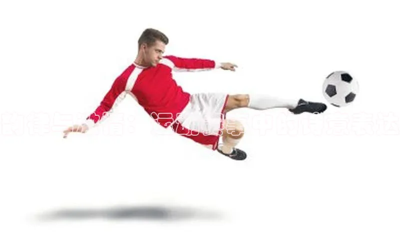 long8唯一中国官方网站阿里尔公司