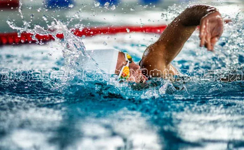 头号玩家唯一官网入口