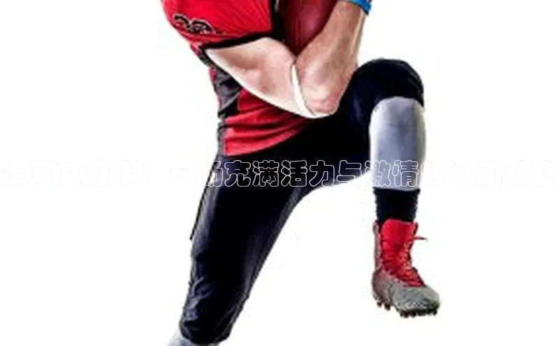 龙8官网手机登录入口