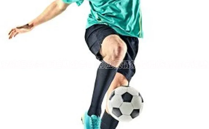 龙八国际唯一官网