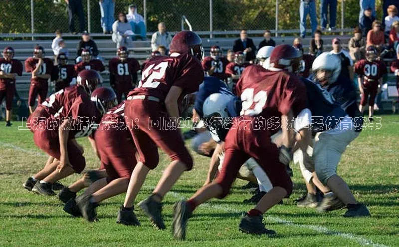 龙八国际app官方下载