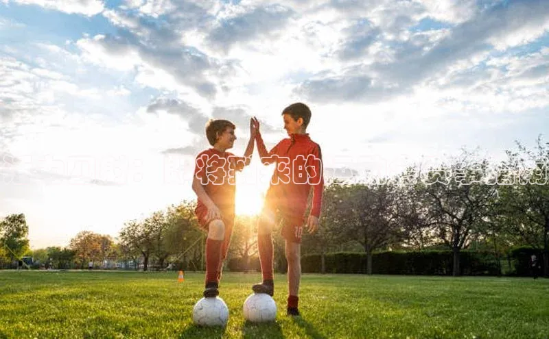 龙八国际下载链接