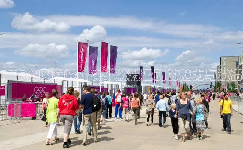 龙八国际app官网