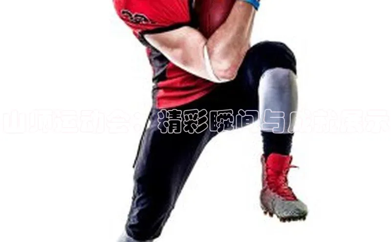 龙8官网手机登入口